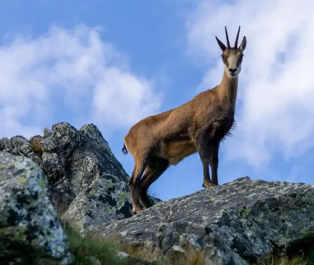 Kopi Af Hjemmeside Og PDF Format 169 (1) Min