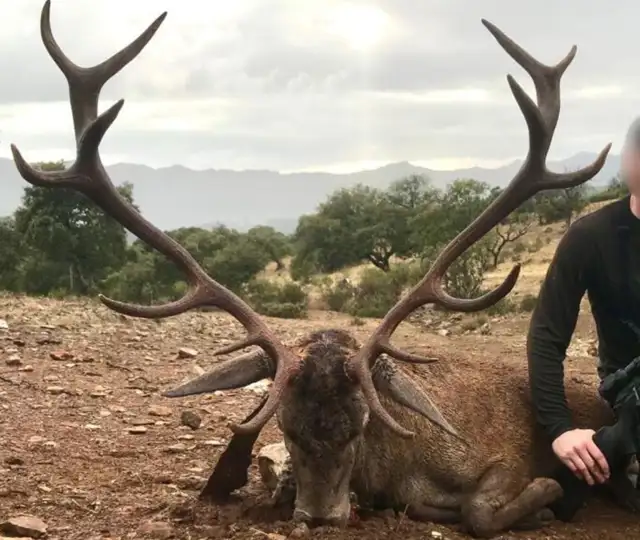 Kopi Af Hjemmeside Og PDF Format 169 (9)