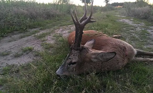 363817998 1031586354807516 2614104656055102490 N