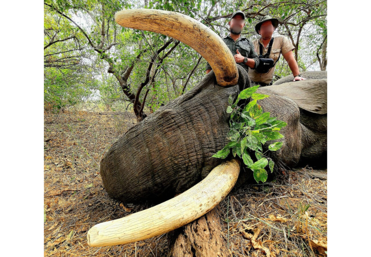 Design Uden Navn (55)