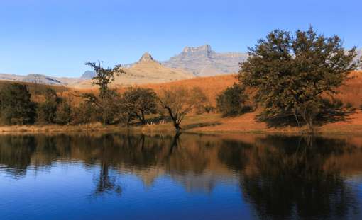 Design Uden Navn (11) Min