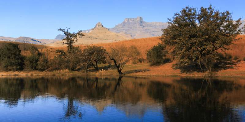 Design Uden Navn (11) Min