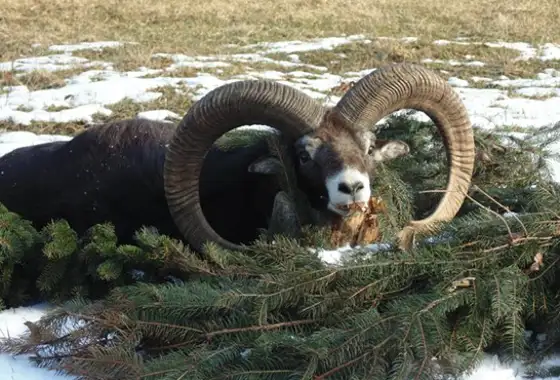 347396253 1010311630268322 4339548220564475257 N