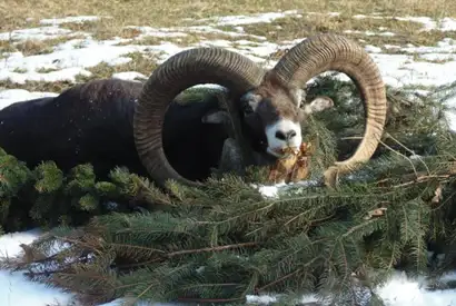 347396253 1010311630268322 4339548220564475257 N