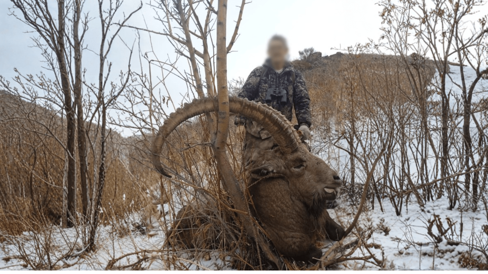 Hjemmeside Og PDF Format 169 (1) Min