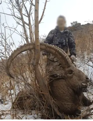 Hjemmeside Og PDF Format 169 (1) Min