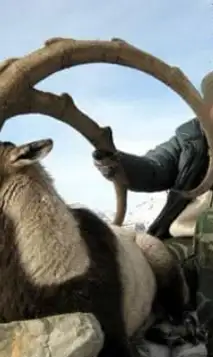 Skærmbillede 2023 12 04 162307