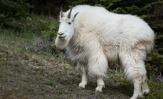 Skærmbillede 2024 07 03 114912