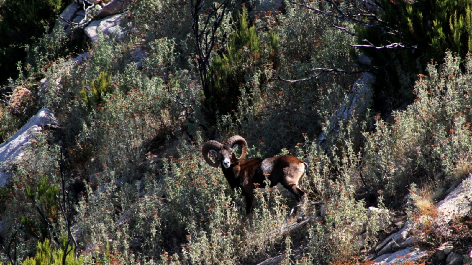 Skærmbillede 2024 05 07 164405