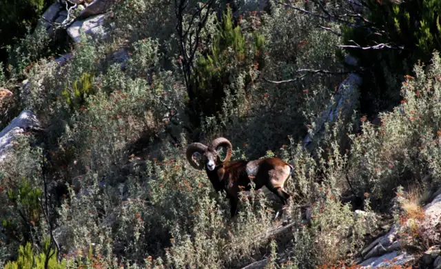 Skærmbillede 2024 05 07 164405