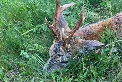 Whatsapp Image 2023 05 09 At 14.49.01