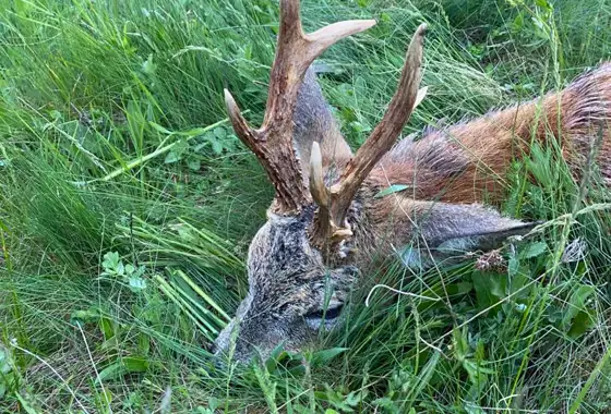 Whatsapp Image 2023 05 09 At 14.49.01