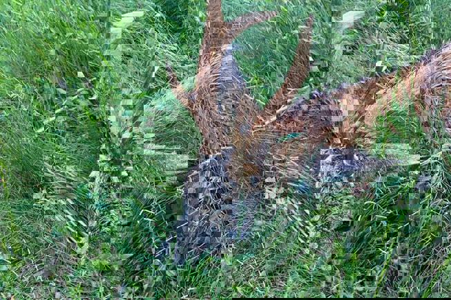 Whatsapp Image 2023 05 09 At 14.49.01