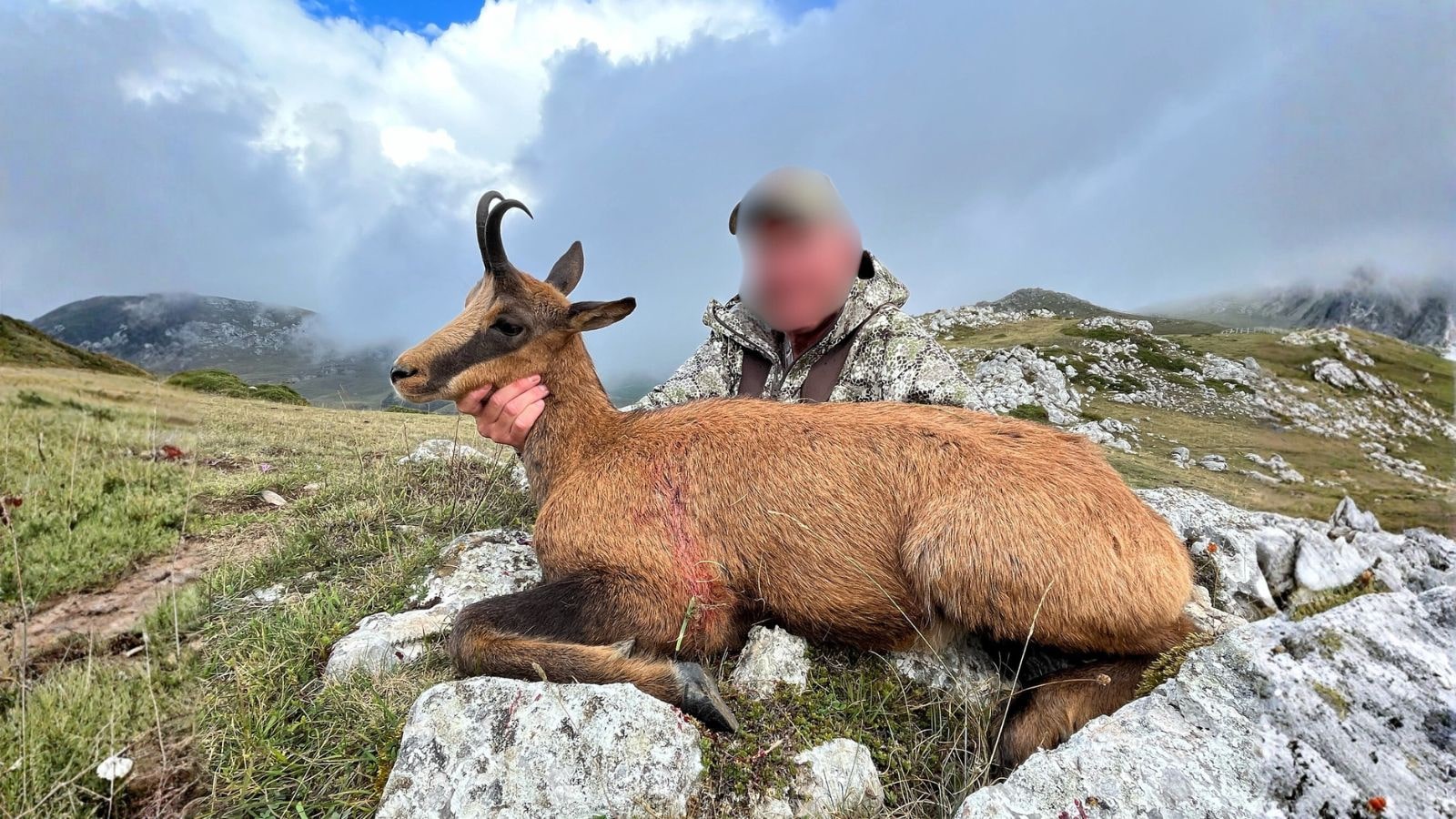 Kopi Af Hjemmeside Og PDF Format 169 (2) Min