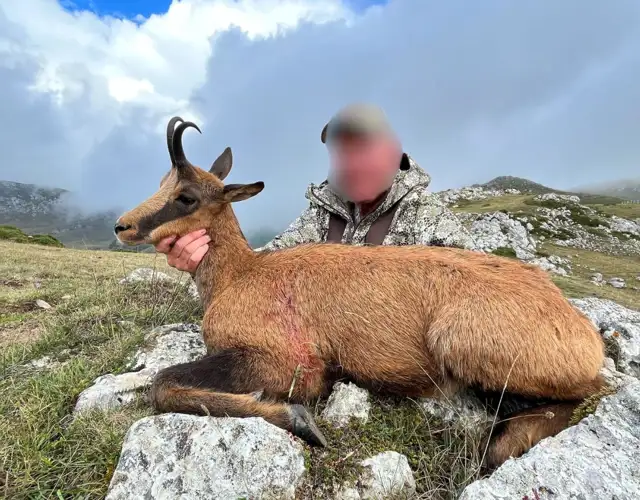 Kopi Af Hjemmeside Og PDF Format 169 (2) Min