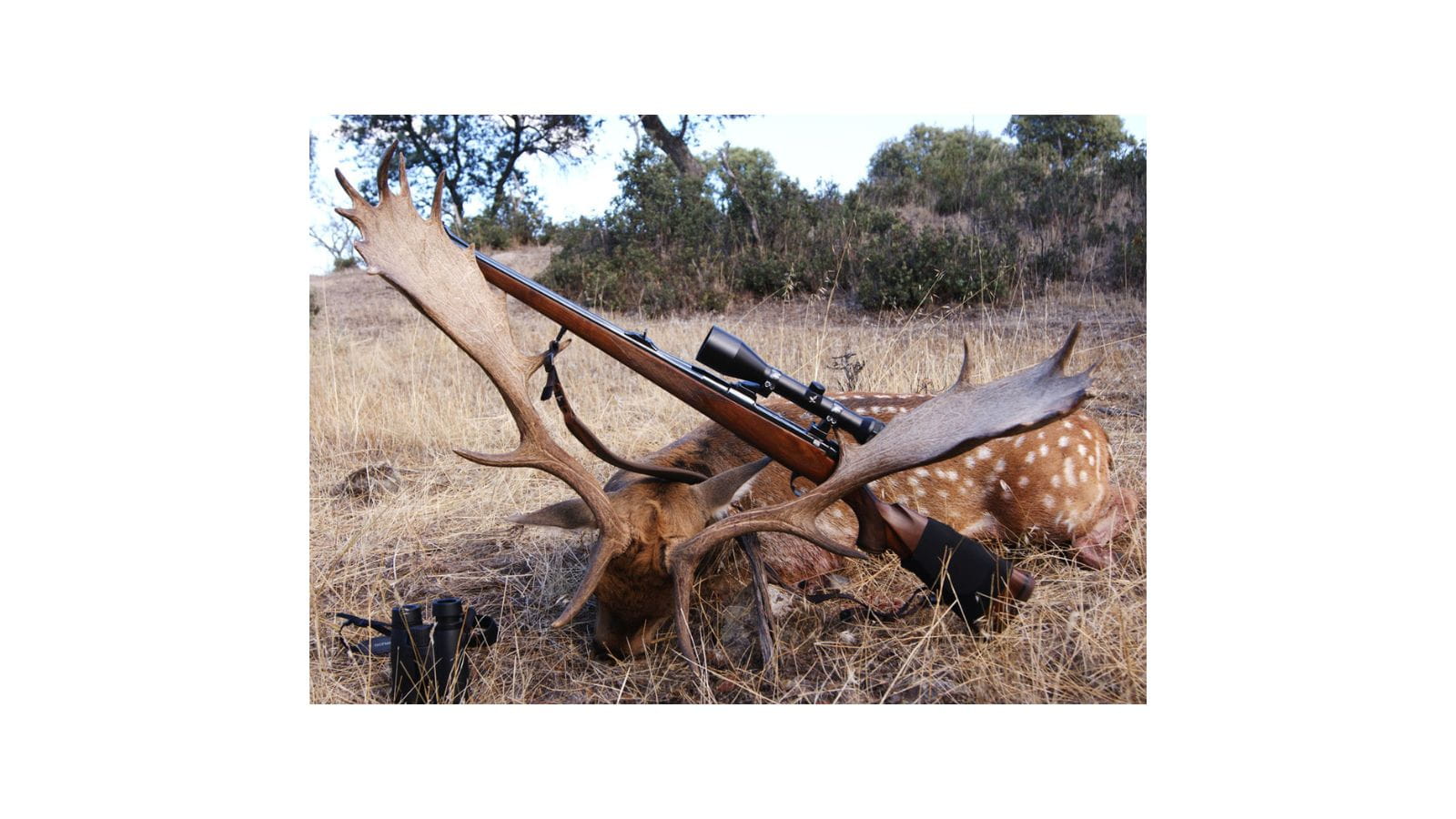 Kopi Af Hjemmeside Og PDF Format 169 (14)