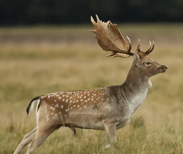 Design Uden Navn (3) Min