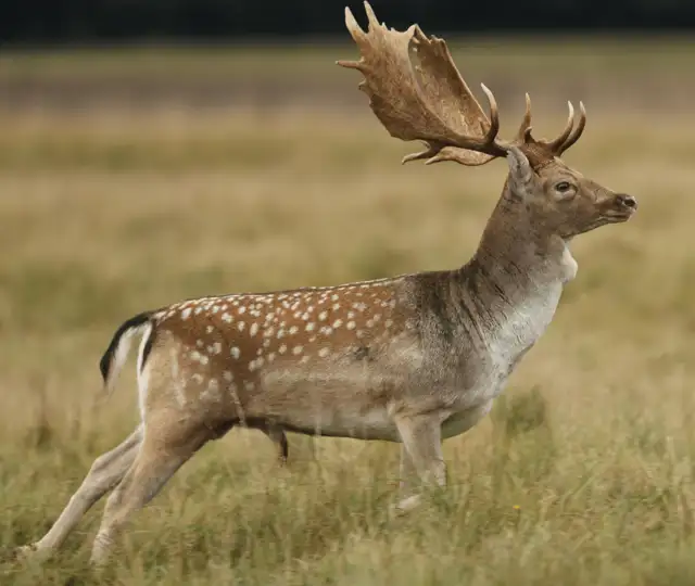 Design Uden Navn (3) Min