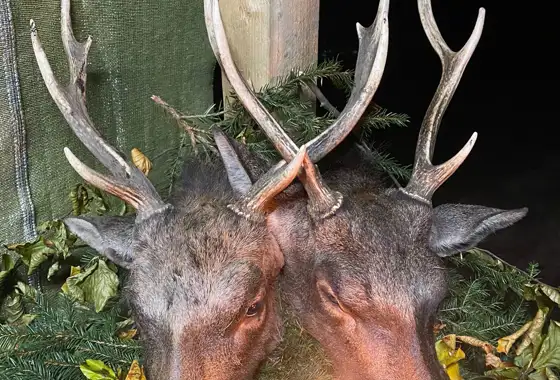 PHOTO 2023 06 27 13 03 22