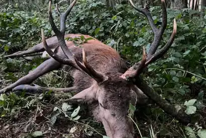 376233415 1059833901982761 7377682560483656307 N