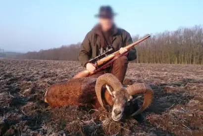 Skærmbillede 2023 12 01 074311