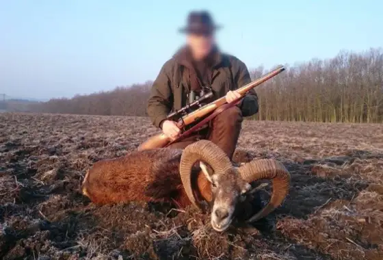 Skærmbillede 2023 12 01 074311