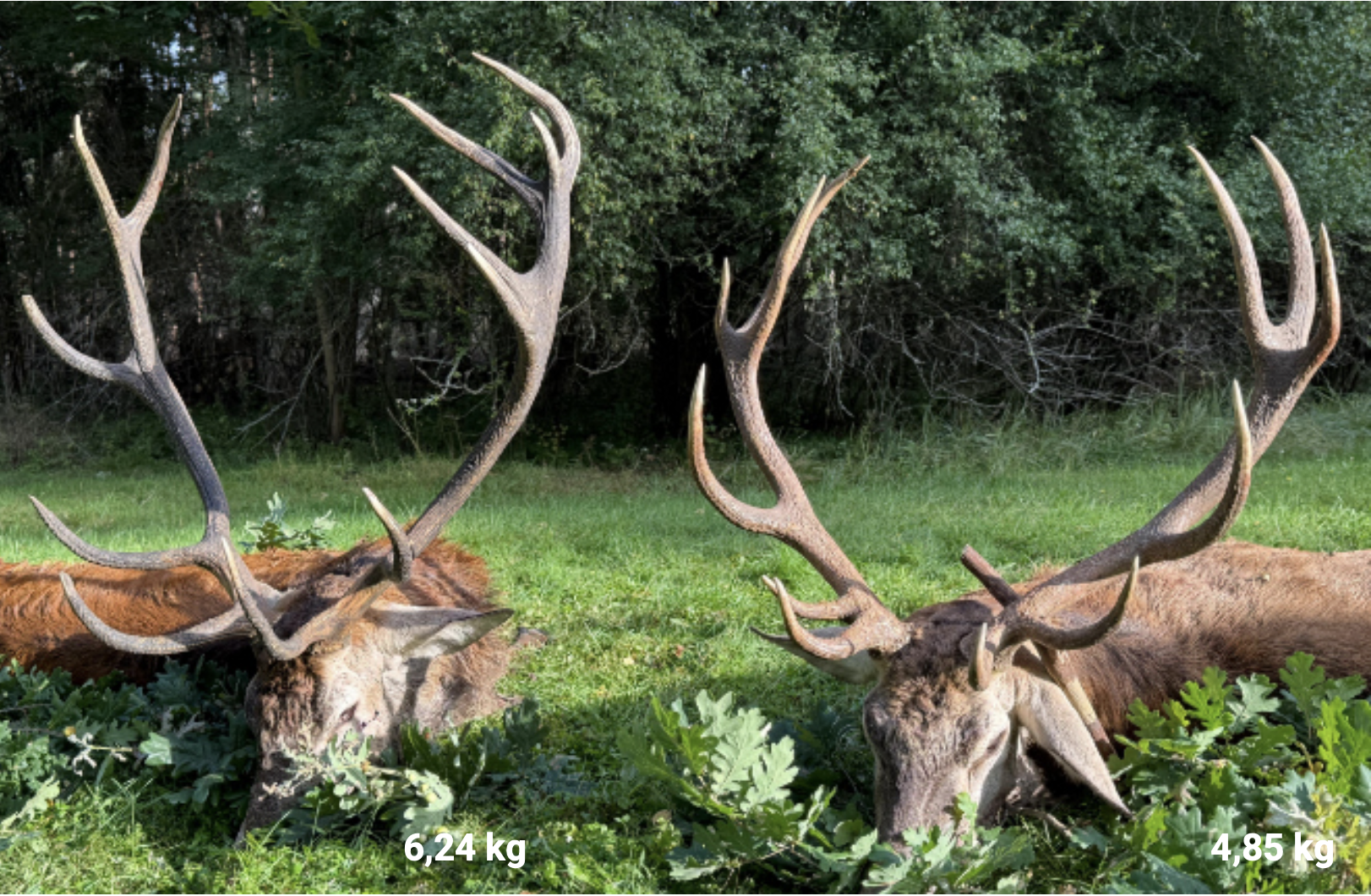 Skærmbillede 2026 04 10 Kl. 10.52.45