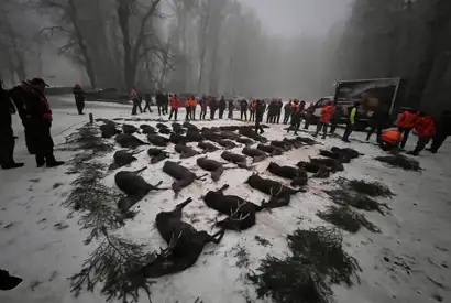 Whatsapp Image 2025 06 10 At 08.46.35 (4)