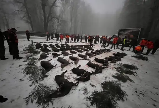 Whatsapp Image 2025 06 10 At 08.46.35 (4)