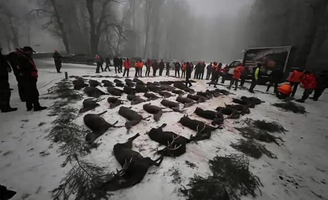 Whatsapp Image 2025 06 10 At 08.46.35 (4)