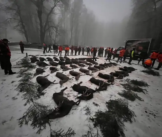 Whatsapp Image 2025 06 10 At 08.46.35 (4)