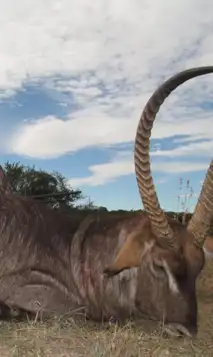 Kopi Af Hjemmeside Og PDF Format 169 2025 11 25T125637.549 Min