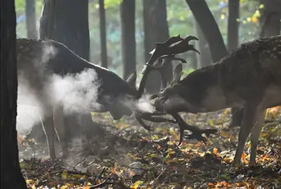 Whatsapp Image 2023 05 25 At 18.35.02