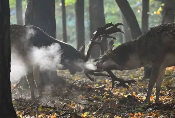 Whatsapp Image 2023 05 25 At 18.35.02