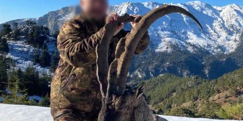 Skærmbillede 2023 12 04 162247