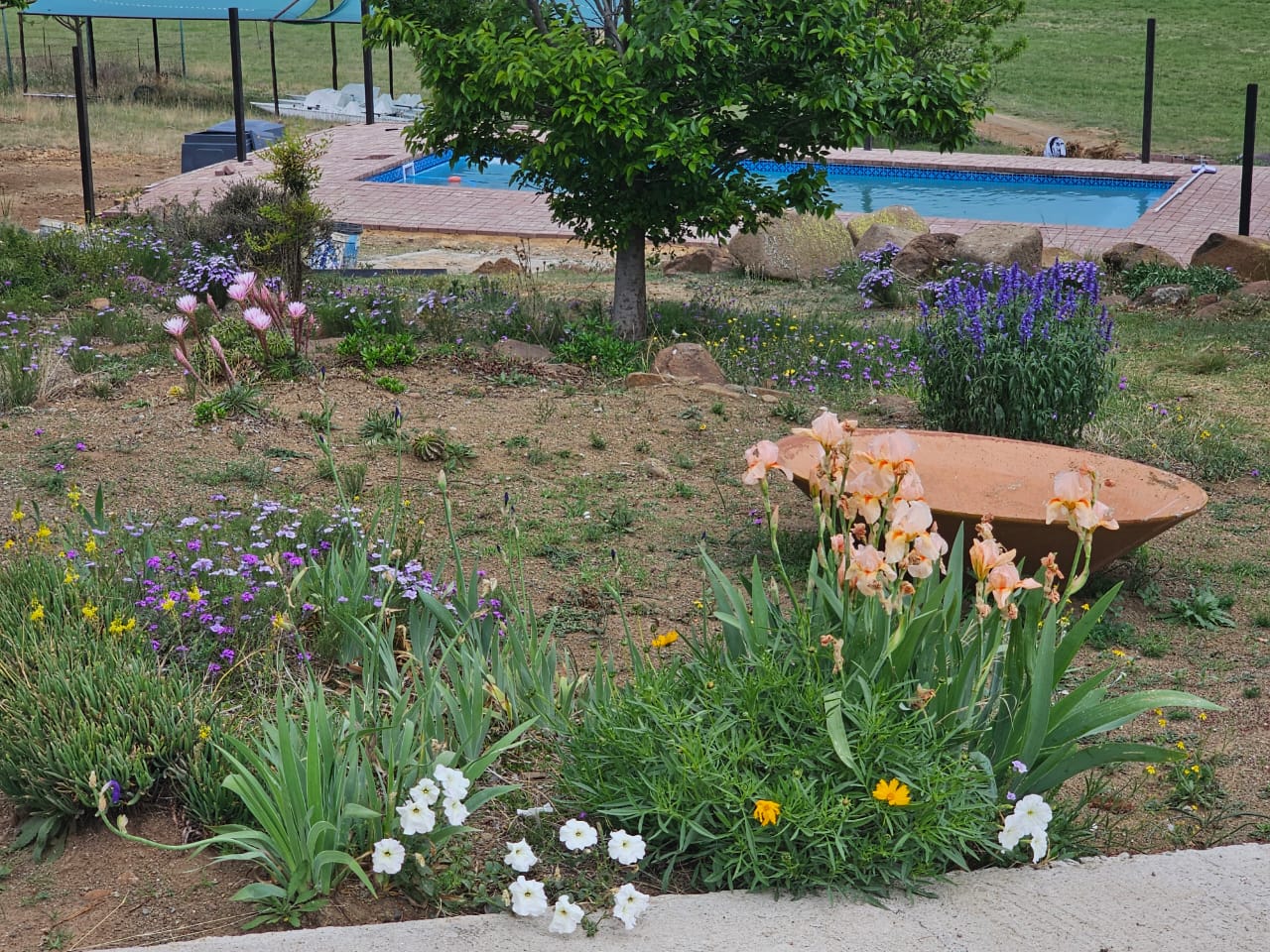 Img 20251014 Wa0131 Min