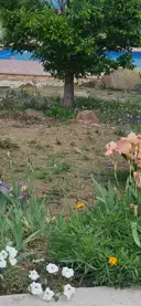 Img 20251014 Wa0131 Min