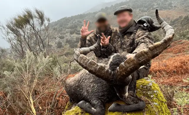 Skærmbillede 2024 10 18 134511 Min