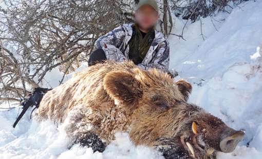 Skærmbillede 2024 10 03 132358