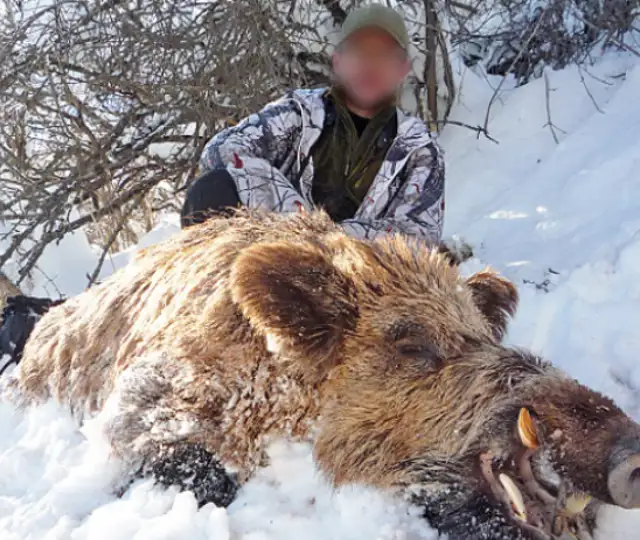 Skærmbillede 2024 10 03 132358