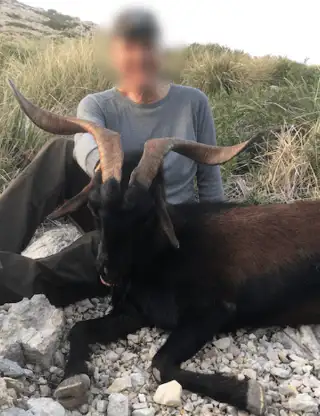 Skærmbillede 2024 12 04 125803 Min