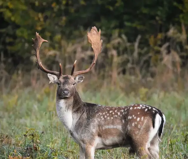 Whatsapp Image 2023 05 25 At 18.35.01 (4)