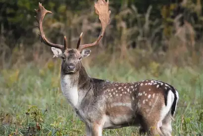 Whatsapp Image 2023 05 25 At 18.35.01 (4)