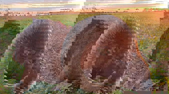 A7b2c791 8716 4B04 B286 20B28d490353