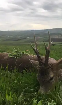 200597718 4188893901204954 1625713082800582798 N