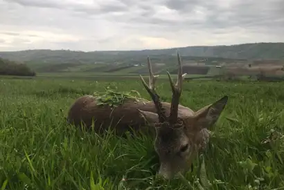 200597718 4188893901204954 1625713082800582798 N