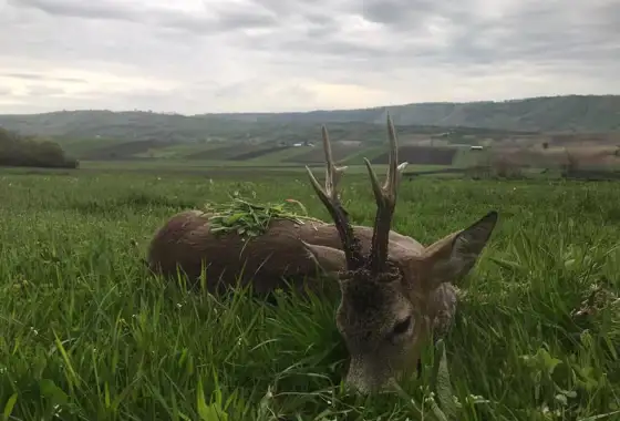 200597718 4188893901204954 1625713082800582798 N