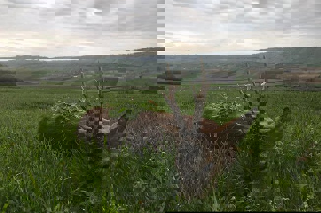 200597718 4188893901204954 1625713082800582798 N