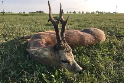 406459377 1112704513362366 8254399856805831045 N