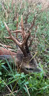 Whatsapp Image 2025 07 28 At 15.33.03 (1)